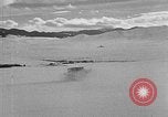 Image of weasel United States USA, 1943, second 49 stock footage video 65675071683