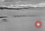 Image of weasel United States USA, 1943, second 50 stock footage video 65675071683