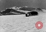 Image of weasel United States USA, 1943, second 52 stock footage video 65675071683