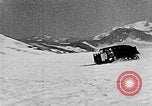 Image of weasel United States USA, 1943, second 53 stock footage video 65675071683