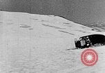 Image of weasel United States USA, 1943, second 54 stock footage video 65675071683