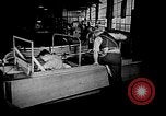 Image of weasel United States USA, 1943, second 59 stock footage video 65675071683