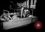 Image of weasel United States USA, 1943, second 60 stock footage video 65675071683