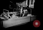 Image of weasel United States USA, 1943, second 61 stock footage video 65675071683
