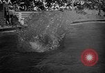 Image of 1936 Olympic Games diving Berlin Germany, 1936, second 16 stock footage video 65675071684