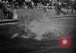 Image of 1936 Olympic Games diving Berlin Germany, 1936, second 17 stock footage video 65675071684