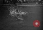Image of 1936 Olympic Games diving Berlin Germany, 1936, second 40 stock footage video 65675071684