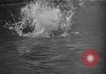 Image of 1936 Olympic Games diving Berlin Germany, 1936, second 59 stock footage video 65675071684