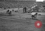 Image of Relay race in 1936 Olympics Berlin Germany, 1936, second 52 stock footage video 65675071686