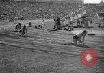 Image of Relay race in 1936 Olympics Berlin Germany, 1936, second 56 stock footage video 65675071686
