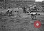 Image of Relay race in 1936 Olympics Berlin Germany, 1936, second 58 stock footage video 65675071686