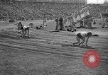 Image of Relay race in 1936 Olympics Berlin Germany, 1936, second 59 stock footage video 65675071686