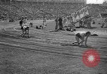 Image of Relay race in 1936 Olympics Berlin Germany, 1936, second 60 stock footage video 65675071686