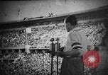 Image of Relay race medal ceremony 1936 Olympics Berlin Germany, 1936, second 6 stock footage video 65675071688