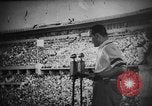 Image of Relay race medal ceremony 1936 Olympics Berlin Germany, 1936, second 7 stock footage video 65675071688
