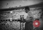 Image of Relay race medal ceremony 1936 Olympics Berlin Germany, 1936, second 8 stock footage video 65675071688