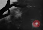 Image of 1936 Olympic marathon race winners Berlin Germany, 1936, second 1 stock footage video 65675071690