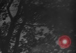 Image of 1936 Olympic marathon race winners Berlin Germany, 1936, second 22 stock footage video 65675071690