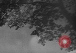 Image of 1936 Olympic marathon race winners Berlin Germany, 1936, second 23 stock footage video 65675071690