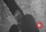 Image of 1936 Olympic marathon race winners Berlin Germany, 1936, second 43 stock footage video 65675071690