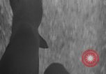 Image of 1936 Olympic marathon race winners Berlin Germany, 1936, second 44 stock footage video 65675071690