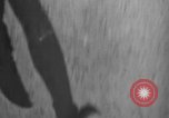 Image of 1936 Olympic marathon race winners Berlin Germany, 1936, second 49 stock footage video 65675071690