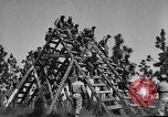 Image of 442nd Regimental Combat Team Mississippi United States USA, 1942, second 8 stock footage video 65675071693