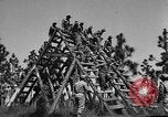 Image of 442nd Regimental Combat Team Mississippi United States USA, 1942, second 9 stock footage video 65675071693