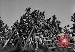 Image of 442nd Regimental Combat Team Mississippi United States USA, 1942, second 11 stock footage video 65675071693