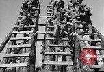 Image of 442nd Regimental Combat Team Mississippi United States USA, 1942, second 37 stock footage video 65675071693