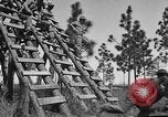 Image of 442nd Regimental Combat Team Mississippi United States USA, 1942, second 39 stock footage video 65675071693
