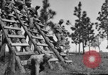 Image of 442nd Regimental Combat Team Mississippi United States USA, 1942, second 40 stock footage video 65675071693