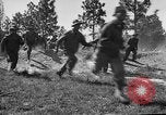 Image of 442nd Regimental Combat Team Mississippi United States USA, 1942, second 59 stock footage video 65675071693
