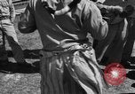 Image of 442nd Regimental Combat Team Mississippi United States USA, 1942, second 61 stock footage video 65675071699