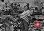 Image of Hurricane ravages Santo Domingo Dominican Republic, 1930, second 62 stock footage video 65675071702