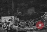 Image of annual gondola regatta Venice Italy, 1930, second 35 stock footage video 65675071708