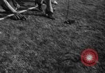Image grenouilles sautent New York United States USA, 1939, de la seconde 14 séquences d'archives historiques vidéo 65675071716