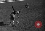 Image rodeo Sun Valley Idaho USA, 1939, de la seconde 38 séquences d'archives historiques vidéo 65675071717