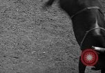 Image rodeo Sun Valley Idaho USA, 1939, de la seconde 41 séquences d'archives historiques vidéo 65675071717