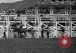 Image rodeo Sun Valley Idaho USA, 1939, de la seconde 48 séquences d'archives historiques vidéo 65675071717