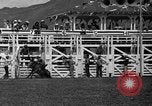 Image rodeo Sun Valley Idaho USA, 1939, de la seconde 49 séquences d'archives historiques vidéo 65675071717