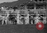 Image rodeo Sun Valley Idaho USA, 1939, de la seconde 51 séquences d'archives historiques vidéo 65675071717
