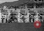 Image rodeo Sun Valley Idaho USA, 1939, de la seconde 52 séquences d'archives historiques vidéo 65675071717