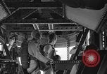 Image NAVAL AIR CADETS Lakehurst New Jersey USA, 1939, de la seconde 53 séquences d'archives historiques vidéo 65675071718