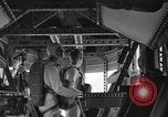 Image NAVAL AIR CADETS Lakehurst New Jersey USA, 1939, de la seconde 54 séquences d'archives historiques vidéo 65675071718