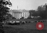 Image of Woodrow Wilson signs proclamation of war against Germany Washington DC USA, 1917, second 3 stock footage video 65675071733
