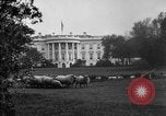 Image of Woodrow Wilson signs proclamation of war against Germany Washington DC USA, 1917, second 5 stock footage video 65675071733