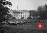 Image of Woodrow Wilson signs proclamation of war against Germany Washington DC USA, 1917, second 6 stock footage video 65675071733