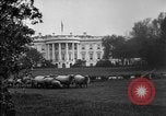 Image of Woodrow Wilson signs proclamation of war against Germany Washington DC USA, 1917, second 7 stock footage video 65675071733