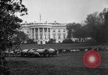Image of Woodrow Wilson signs proclamation of war against Germany Washington DC USA, 1917, second 9 stock footage video 65675071733